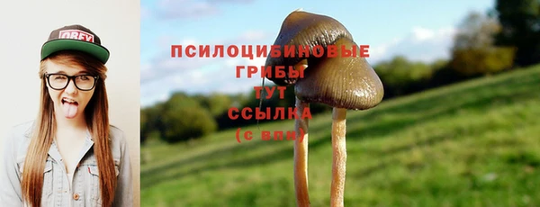 mdma Верхний Тагил