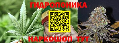 марки nbome Сланцы