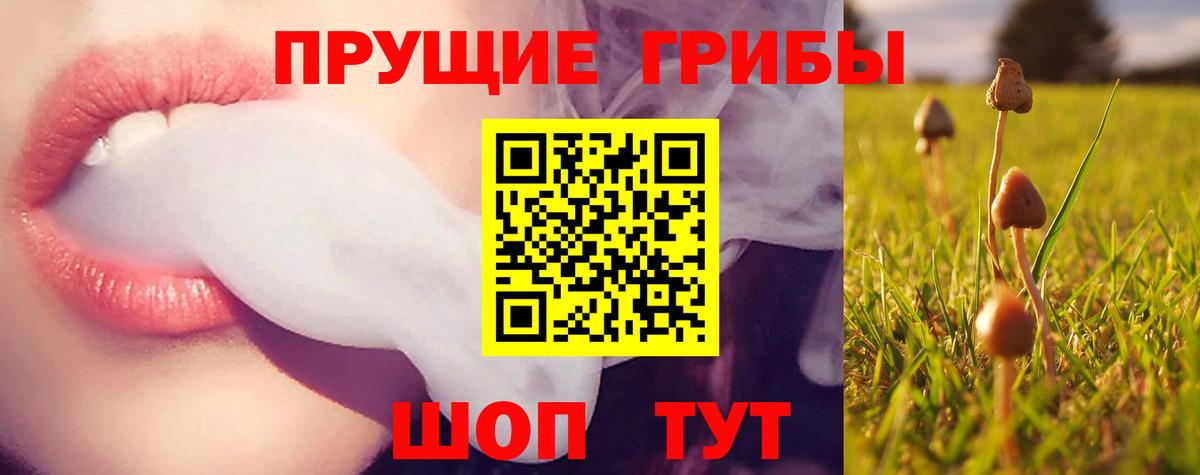 Псилоцибиновые грибы Psilocybine cubensis  Вход с VPN  Славянск-на-Кубани 